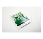 Sachet 12 feuil Delta 270g -20,3x25,4cm - Ivoire