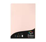 Etui de 50 feuilles Pollen 210x297mm 120g/m2 - Opaline