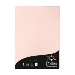 Etui de 50 feuilles Pollen 210x297mm 120g/m2 - Opaline