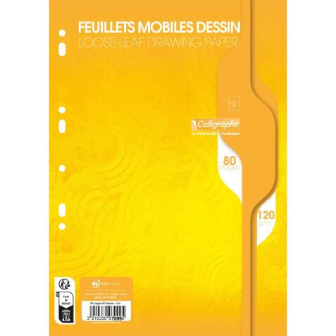 Feuillets mobiles dessin scolaire sous film 7000 A4 80 pages perforées uni 120g