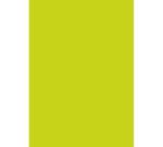 * Pochette 3 Feuilles Identiques Ref 295 - Vert