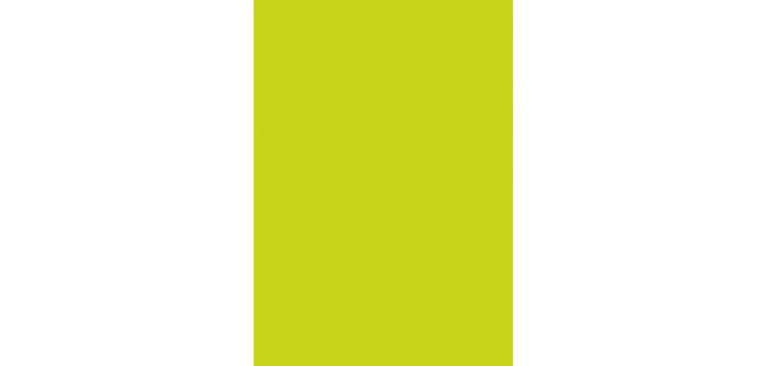 * Pochette 3 Feuilles Identiques Ref 295 - Vert