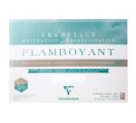 Flamboyant bloc collé 4 côtés 20F 36x51cm 300g