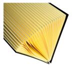 Clasificadores Ordonator ® lomo extensible pestañas impresas Tapa rígida - Tamaño: 25x33 cm para: A4 - Negro