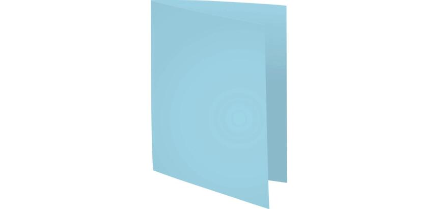 Pk 100 Folders Forever A4 170gsm