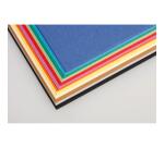 Tulipe Coloured Drawing Paper 160g 50x65cm, 12 Assorted Colours