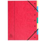 Trieur Harmonika fenêtres imprimées Véritable carte lustrée 7 compartiments - Couleurs assorties