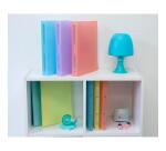 Classeur 4 anneaux 15 mm polypropylène Chromaline Pastel - A4 - Couleurs assorties
