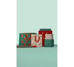 Excellia 80g, Fancy Xmas 2x0,70m 30rlx - Assortiment