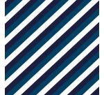 Alliance 60g, rl 50x0,70m Blue Line - Bleu