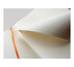 Rhodiarama cahier souple A4+ 160 pages ligné papier ivoire 90g - Chocolat