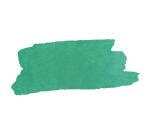 DARWI Flacon de 250 ml d'Encre à Dessiner - Vert sapin