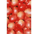 * Pochette 3 Feuilles Identiques Ref 491 - Rouge