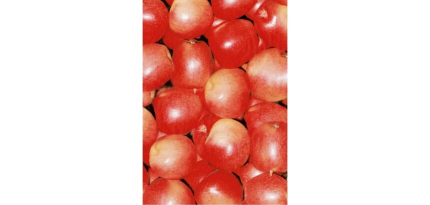 * Pochette 3 Feuilles Identiques Ref 491 - Rouge