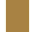 Mini-kit adulte soliflores - Kraft