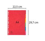 Separadores Cartulina lustrada rígida 5/10º - 400 g/m 2 - Colores surtidos