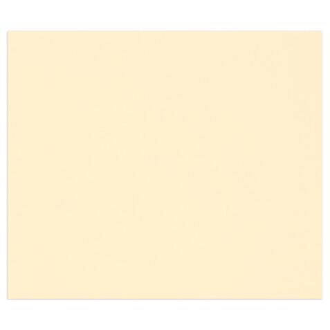 Tulipe rame 25F 50x65cm 160g