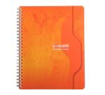 Cahier reliure intégrale 7000 17x22 cm 100 pages petits carreaux 70 g - Assortis