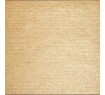 Barquette de 500 sets de table papier, unis - Format 30x40 cm - Kraft