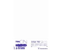 Paint'ON à grain paquet 10F 50x65cm 250g