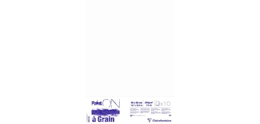 Paint'ON à grain paquet 10F 50x65cm 250g