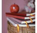 Rhodiarama carnet souple A5 160 pages dot papier ivoire 90g fermeture élastique - Touche de rose