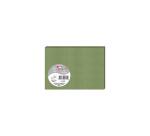 Paquet de 25 cartes simples Pollen 110x155 210g/m2 - Vert sauge