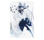 Inkebana, Carnet cousu fil 11x17cm, 64 pages, ligné, ass. - Multicolore