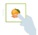 Imagier, Fruits - Multicolore