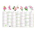 Calendrier Fleurs avec illustrations 29,5 x 22 cm Semestriel 2026