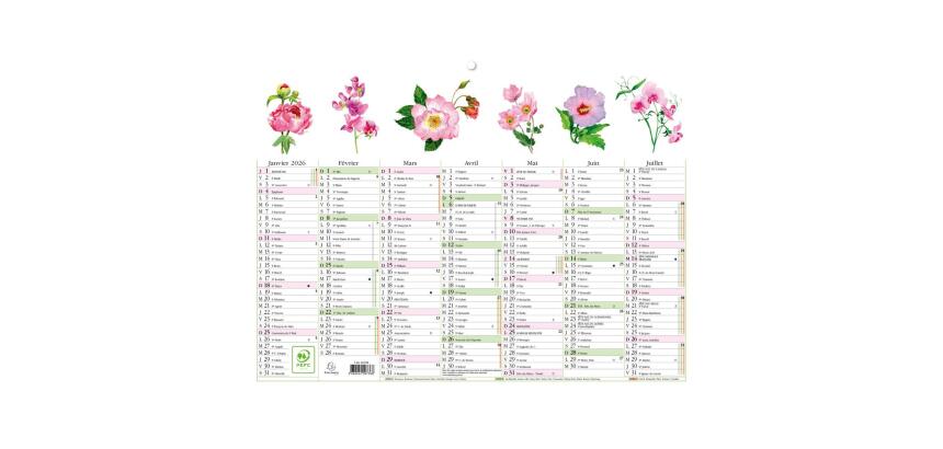 Calendrier Fleurs avec illustrations 29,5 x 22 cm Semestriel 2026