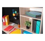 File Harmonika Multi Fle A4 425g 24P