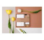 Tulip paper, Kit de papeterie contenant un carnet 11x17 cm 64 pages lignées, un crayon de papier, 2 pinces doubles-clip, 10 trombones et une gomme