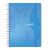 Cahier reliure intégrale 7000 17x22 cm 100 pages grands carreaux 70 g - Assortis