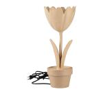 Lampe tulipe - Kraft