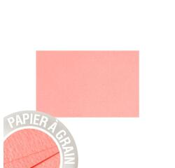 Paquet de 5 cartes simples Grain de Pollen 82x128mm 210g/m² - Poudre de corail