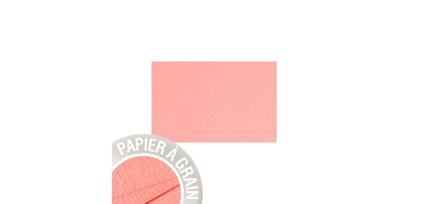 Paquet de 5 cartes simples Grain de Pollen 82x128mm 210g/m² - Poudre de corail