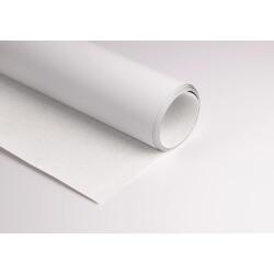 Pastelmat rouleau 1,4x5m 360g - Blanc
