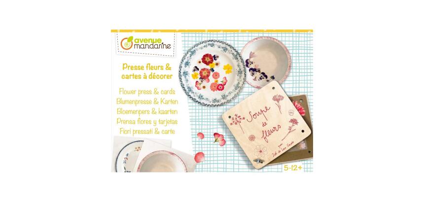 Boîte créative, Pressefleurs et cartes postales à décorer