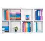 Exabox Opak PP Filing Box 25mm Spine A4.