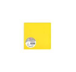 Paquet de 25 cartes simples Pollen 135x135mm 210g/m²