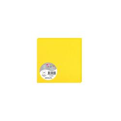 Paquet de 25 cartes simples Pollen 135x135mm 210g/m²