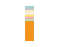 Pk 100 Filing Strips 105x240 Ast - Assorted colours