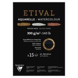 Etival Noir bloc collé 1 côté 15F A3 300g double grain