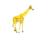 Crea 3D, Girafe - Bleu