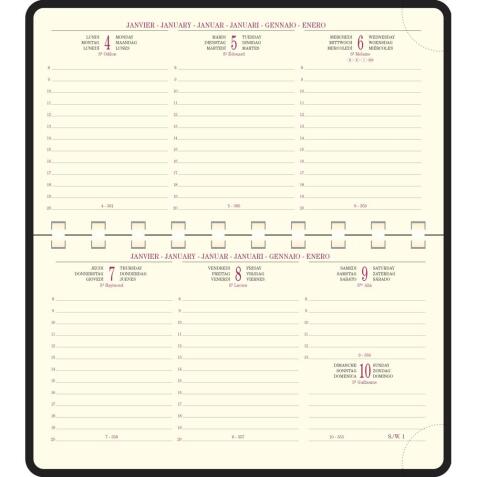 Recharge Agenda de poche Temporel 16S spiralé 9 x 16 cm Semainier Janvier à Décembre 2026