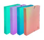 Boite de classement à élastiques dos 40mm PP Candy Tidy - Couleurs assorties