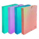 Boite de classement à élastiques dos 40mm PP Candy Tidy - Couleurs assorties