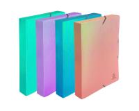 Boite de classement à élastiques dos 40mm PP Candy Tidy - Couleurs assorties