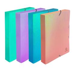 Boite de classement à élastiques dos 40mm PP Candy Tidy - Couleurs assorties